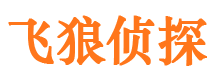 银川市私家侦探